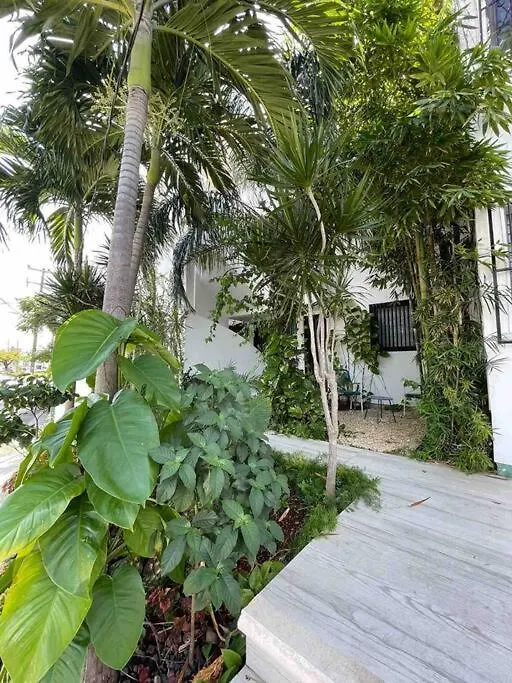 Daire Departamento Pina / Mkt-Mercado 28 / 3 Recamaras-Rooms Cancún Meksika