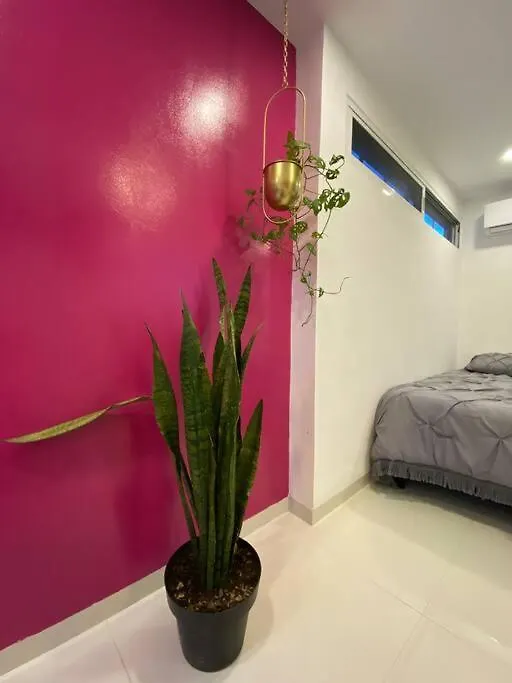 Departamento Pina / Mkt-Mercado 28 / 3 Recamaras-Rooms Cancun Apartment